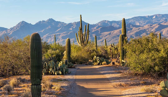 Tucson, AZ